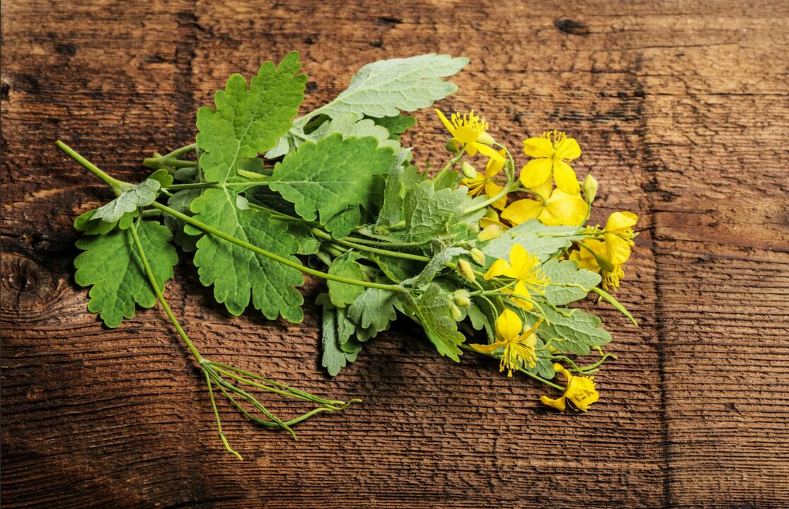 La chélidoine, une plante cicatrisante contre la mycose des ongles des pieds